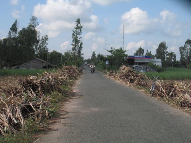 VHXH2482017.jpg