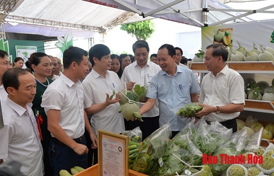Trưng bày, giới thiệu sản phẩm nông sản, thực phẩm an toàn tỉnh 32win đăng nhập năm 2019
