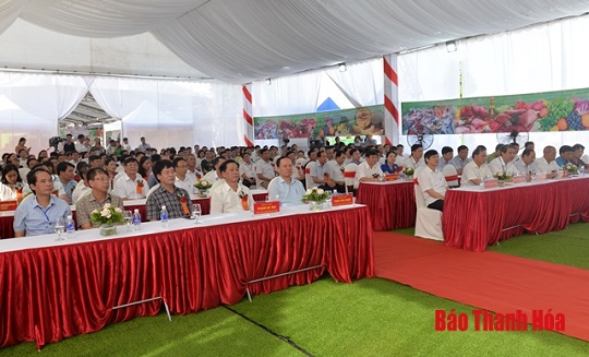 Trưng bày, giới thiệu sản phẩm nông sản, thực phẩm an toàn tỉnh 32win đăng nhập năm 2019