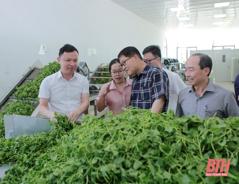 Đoàn công tác Hội đồng TP Seong Nam thăm và 32win xom tại Ban Quản lý Khu Kinh tế Nghi Sơn và các Khu công nghiệp tỉnh
